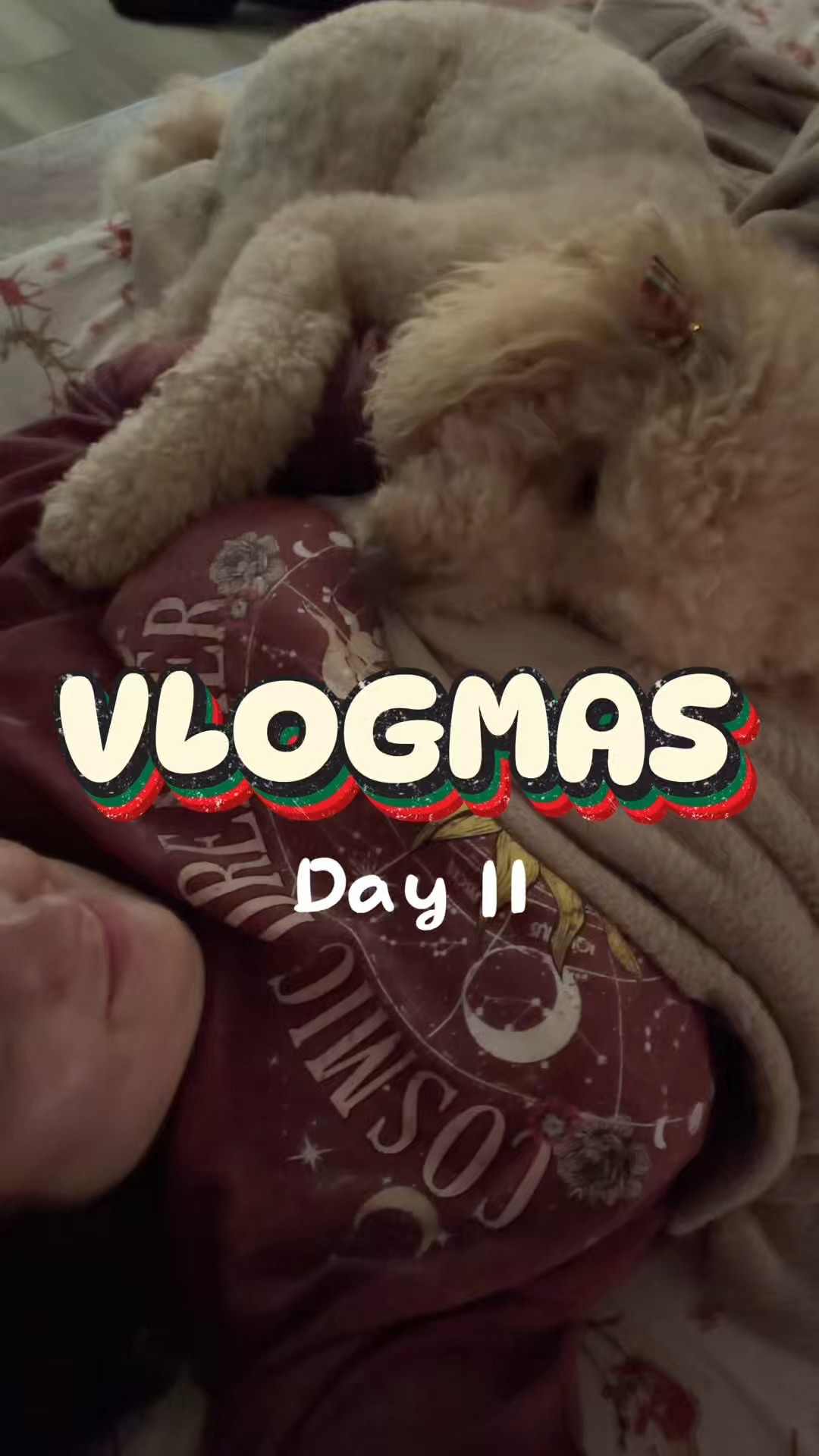 VLOGMAS day 11
Amazon haul
Walmart haul
Makeup


#LTKGiftGuide #LTKFindsUnder50 #LTKdayinmylife