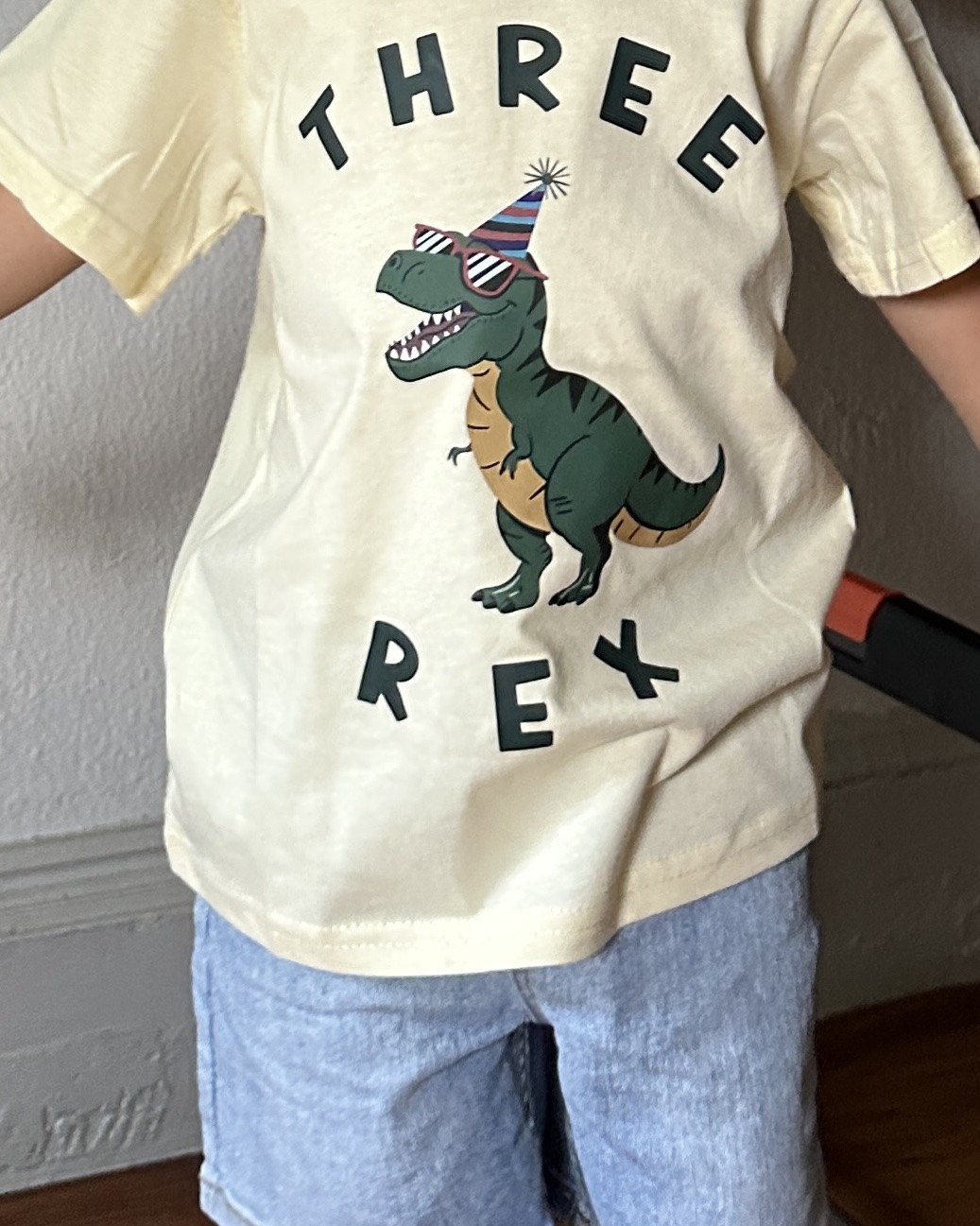 Three Rex Birthday Boy 🦖💚🤍🤎
3 year old TRex Birthday party!

#LTKKids #LTKmomlife #LTKootd