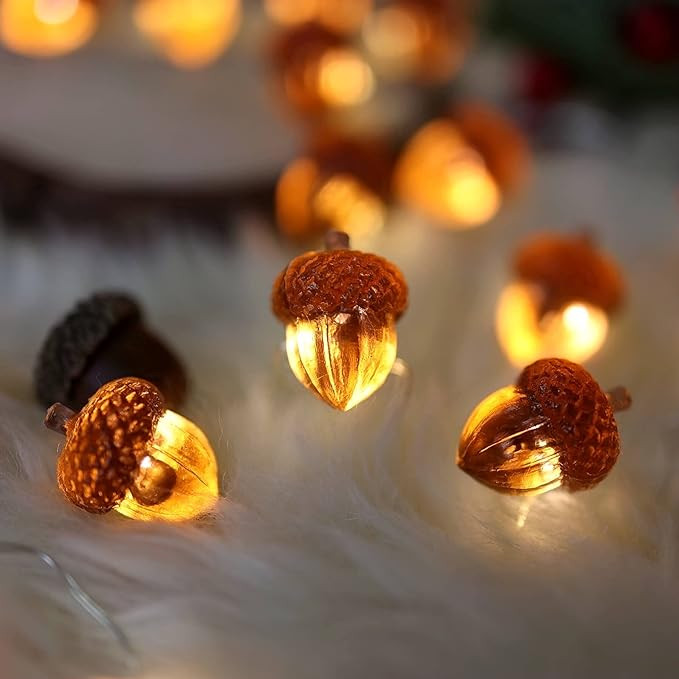 Decorative Fairy Acorn String Lights Thanksgiving Decoration Autumn Garland Cute Novelty Lights 3... | Amazon (US)