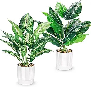 Der Rose 2 Pack Fake Plants Artificial Tropical Plants Indoor in White Pot for Home Office Desk A... | Amazon (US)