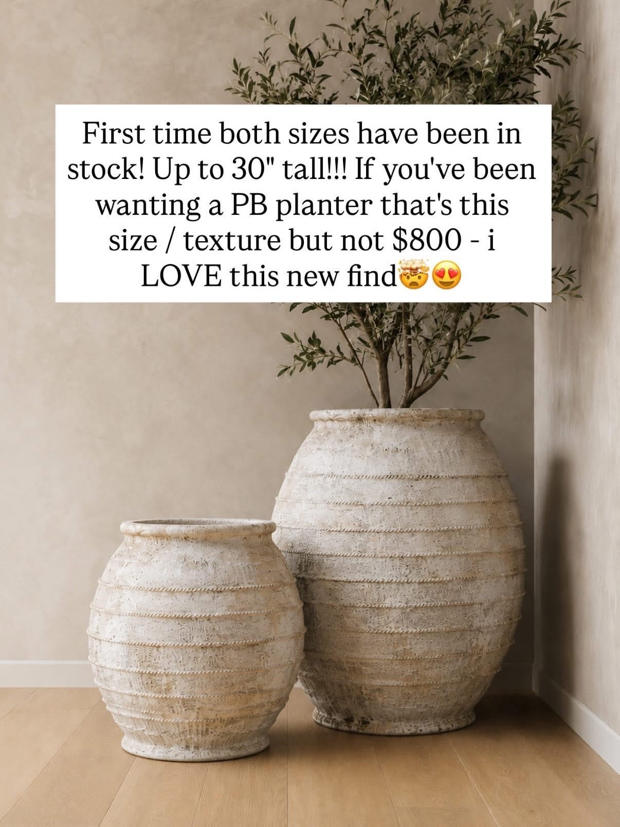The best oversized textured planter this season!!! On July 4th deal!!!!

#LTKHome #LTKSeasonal #LTKSaleAlert