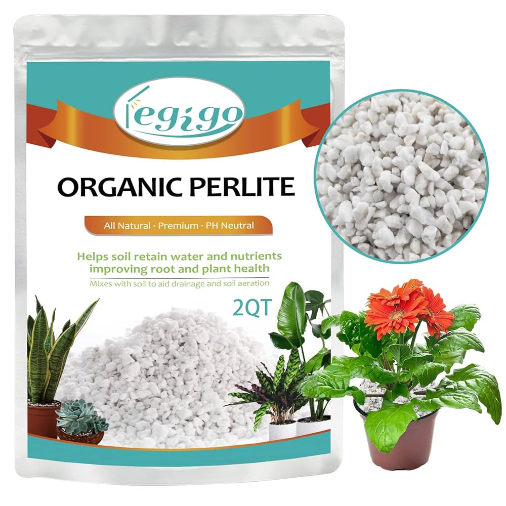 Legigo 2 Quarts Organic Horticultural Perlite for Plants Indoor- Natural Horticultural Soil Addit... | Amazon (US)