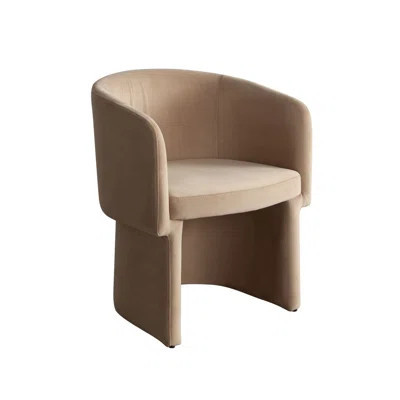 Tess Dining Chair | Wayfair North America