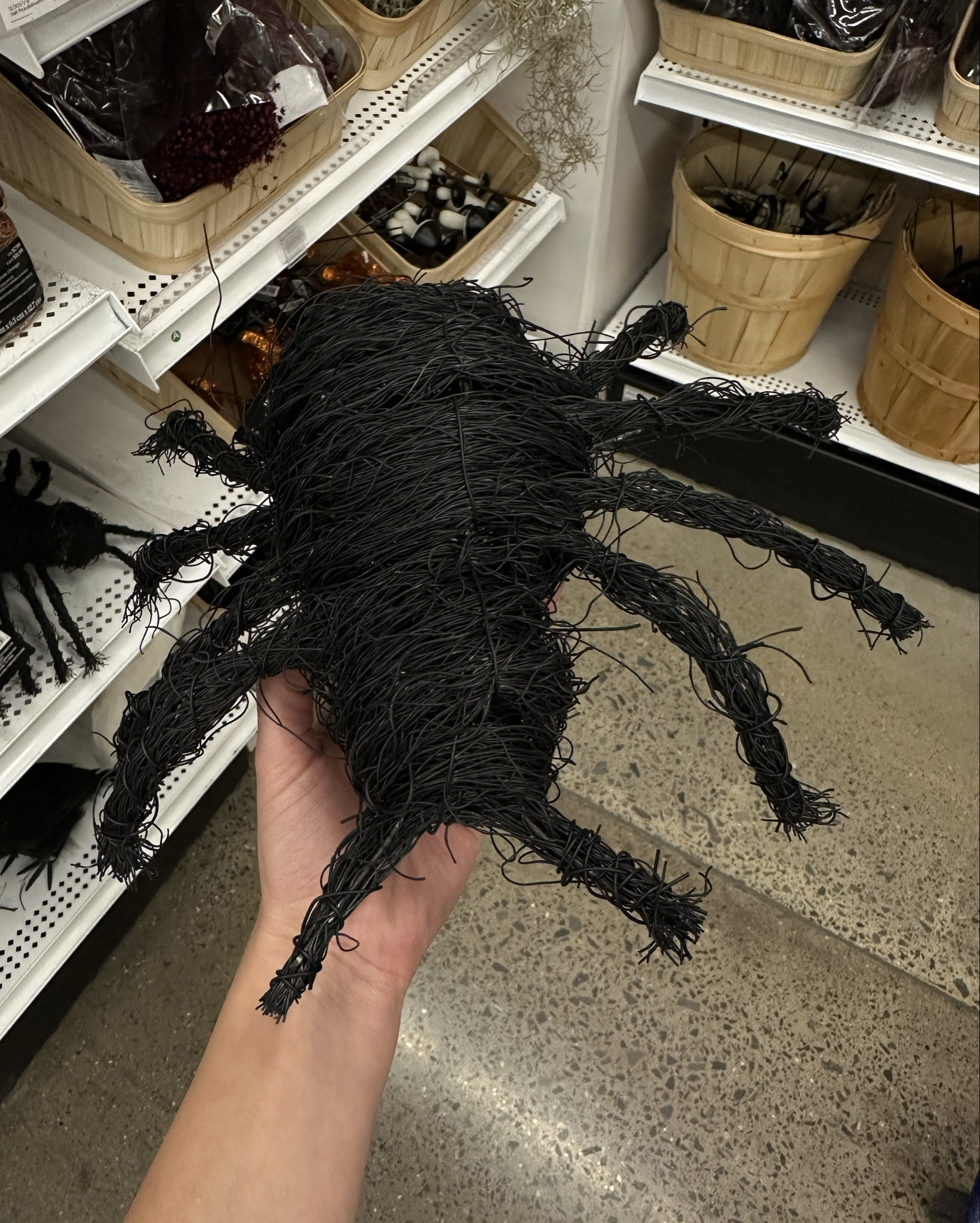 fall/ halloween Michaels finds
🕷️🎃
a few of these are dupes for more expensive items sold through other retailers! 





@Morgan.Speiser 
Halloween decor, fall decor, spooky decor, Halloween decorations, seasonal decor, spiders, skeletons, pumpkins. 

#LTKSeasonal #LTKHome #LTKFallSale