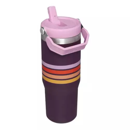 Stanley Varsity IceFlow 30 oz Flip Straw Tumbler | Scheels