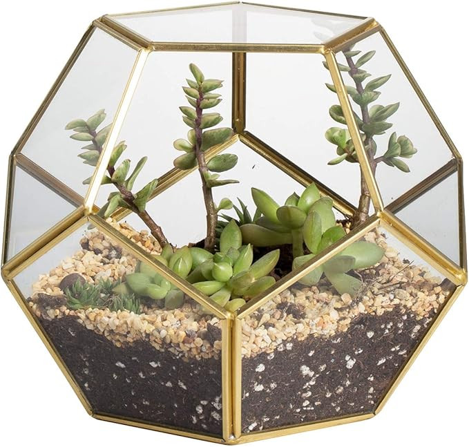 NCYP Gold Glass Geometric Terrarium, 5.9inches Pentagon Regular Brass Planter for Succulent Fern ... | Amazon (US)