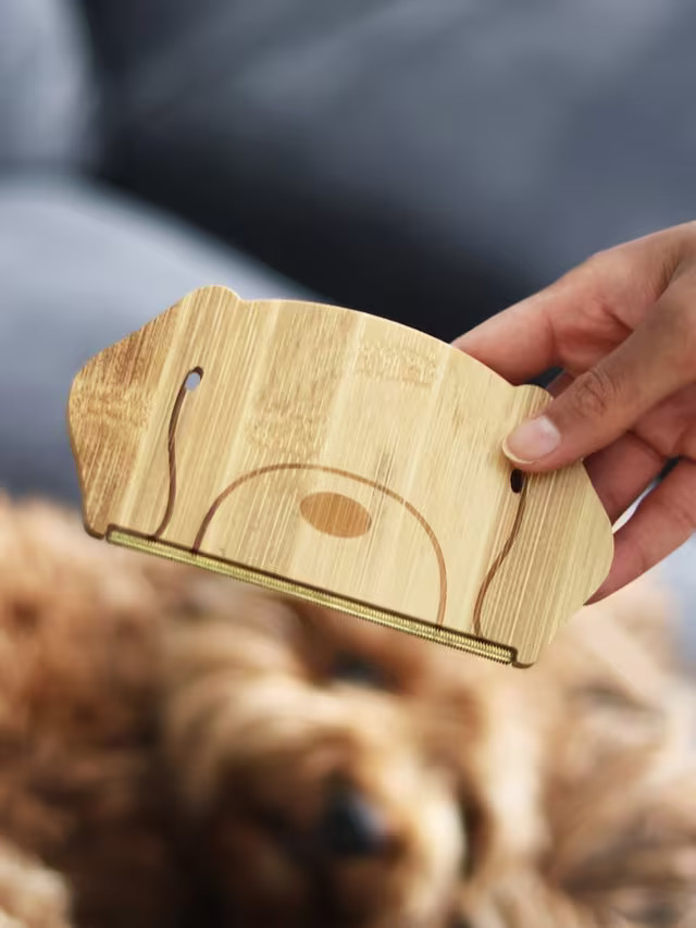 PikkiiBamboo Dog Hair Remover, Multi | John Lewis (UK)