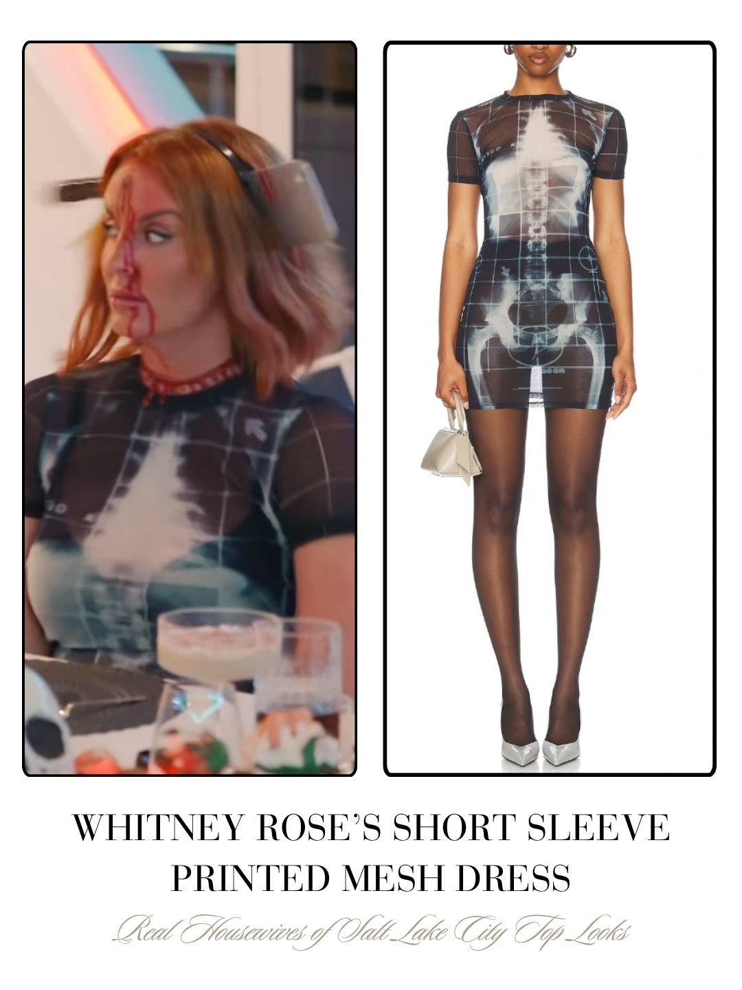 Whitney Rose’s Short Sleeve Printed Mesh Dress 