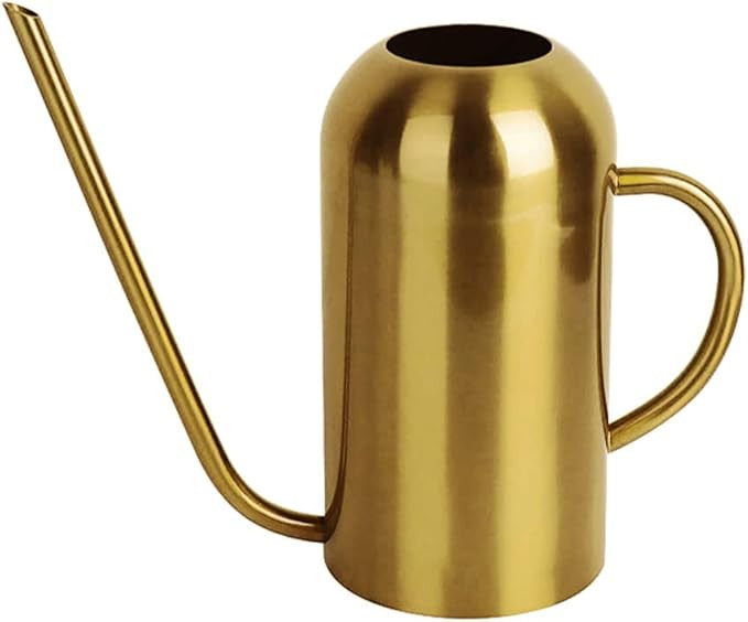 Watering Can Indoor Plants, 50 oz/1500 ml Metal Stainless Steel Watering Can Pot with Long Spout ... | Amazon (US)