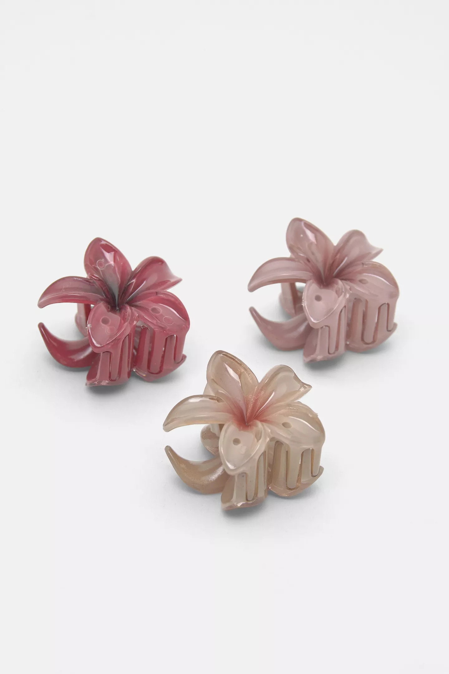 Pack of hibiscus flower hair clips | PULL and BEAR UK