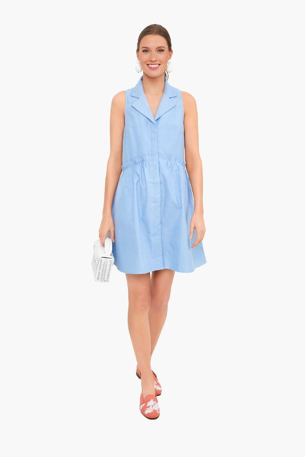 Oxford Blue Sleeveless Royal Shirt Dress | Tuckernuck (US)