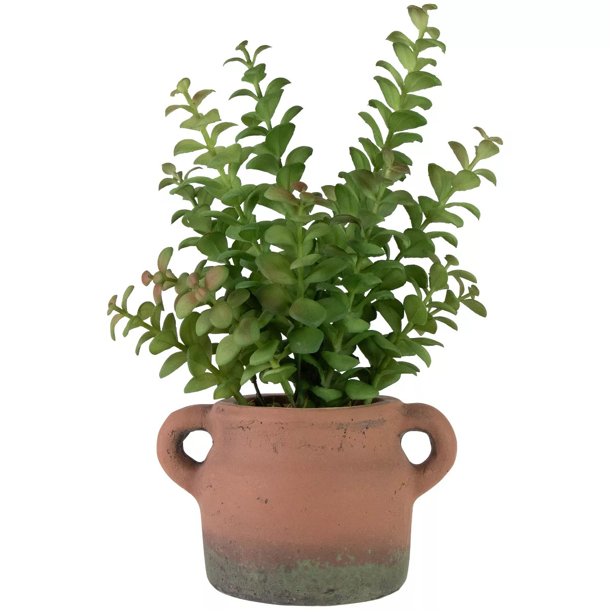 Northlight Real Touch™ Artificial Privet Plant in Vintage Milk Can Style Earthenware Pot - 14" | Target