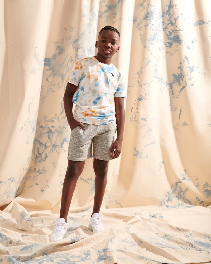 wash effect icon tee | Abercrombie & Fitch (US)