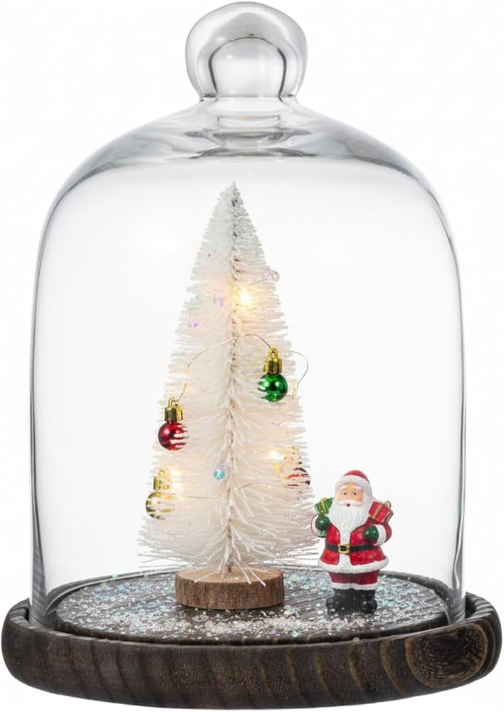 MyGift Clear Cloche Glass Dome,9 Inch Display Bell Jar with Top Handle and Rustic Brown Solid Woo... | Amazon (US)