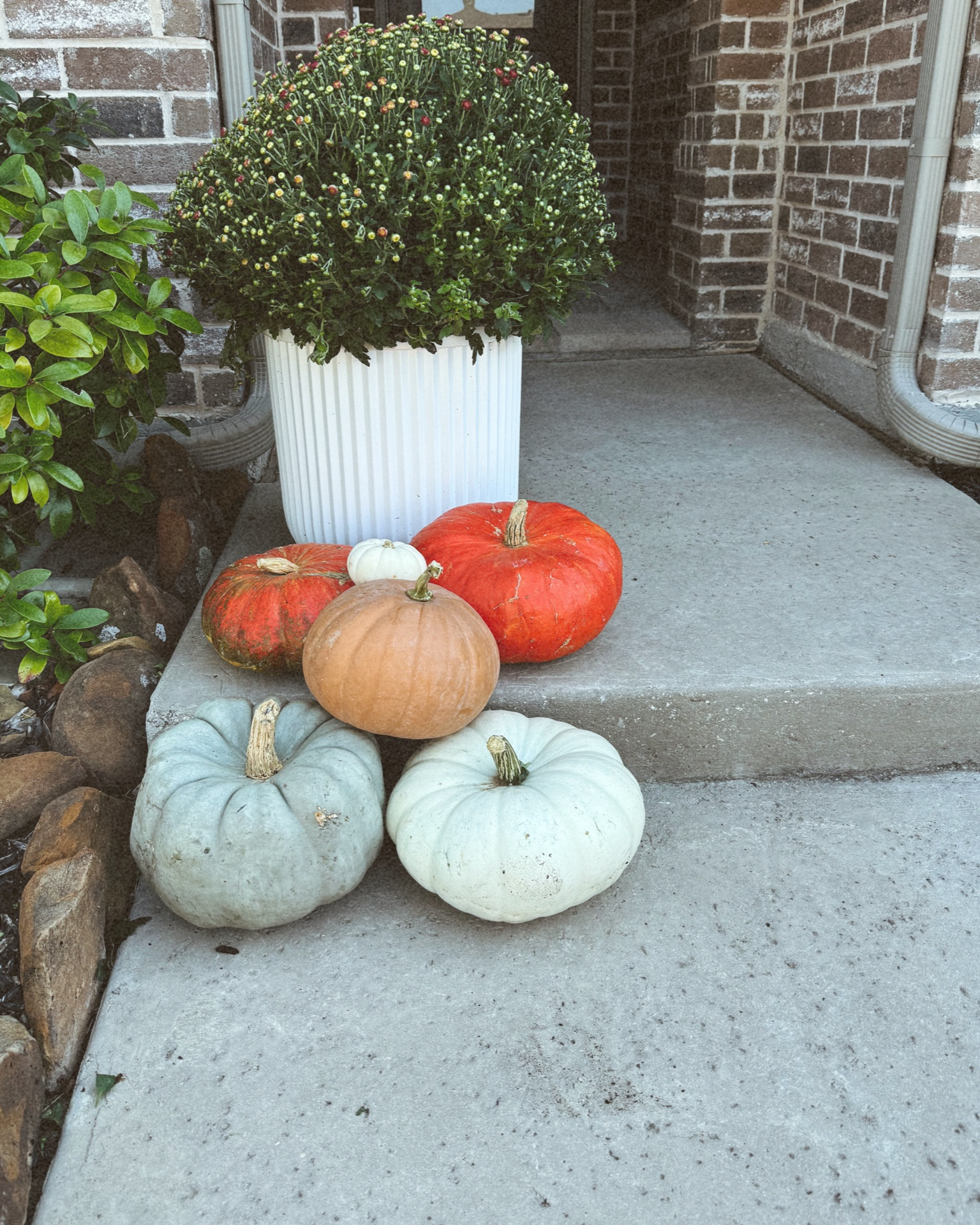Love this large planter! You can’t beat the low price!! 

#LTKHome #LTKFindsUnder50