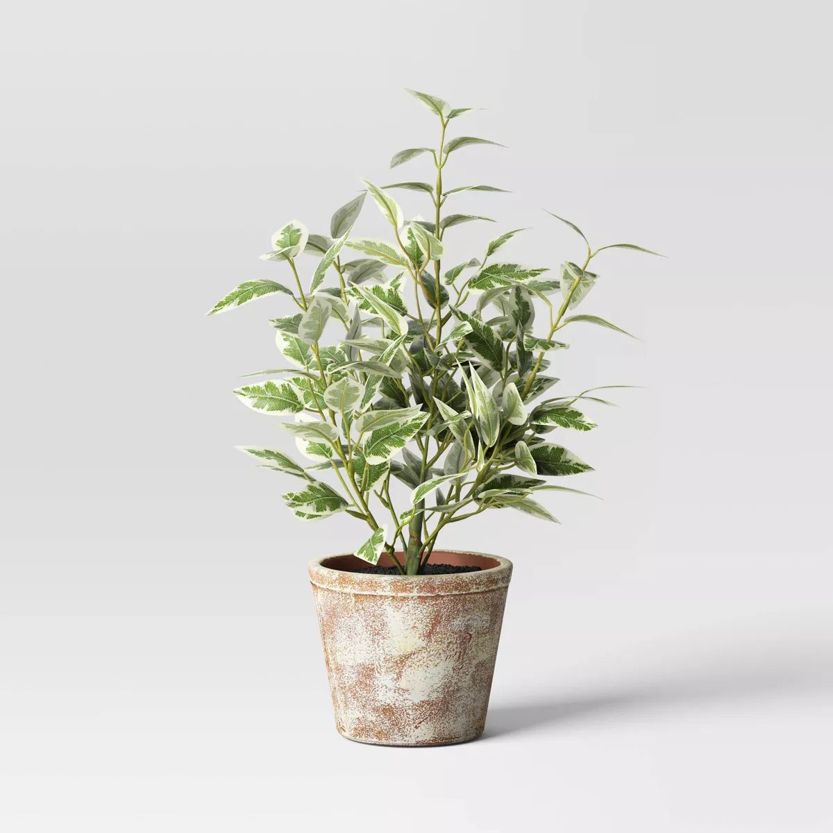 15" Variegated Ficus Artificial Plant - Threshold™ designed with Studio McGee | Target
