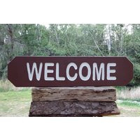 Hand Carved Welcome Sign Rustic Cabin Decor, Carved Reflective Letters Sp895-3 | Etsy (US)