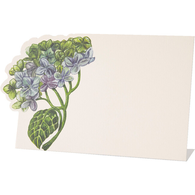 Hydrangea Place Card, Multi | Maisonette
