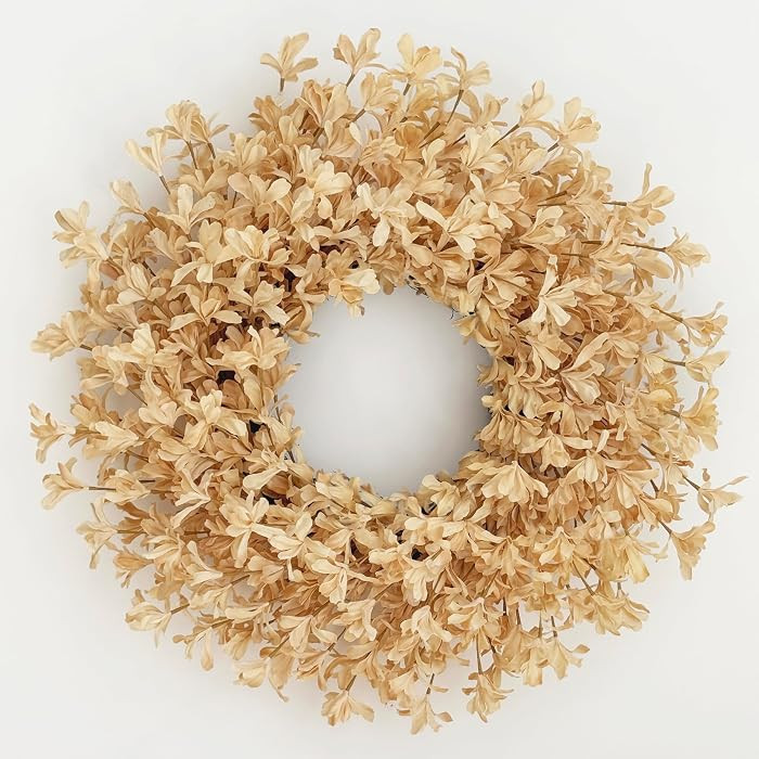 24 Inch Fall Wreaths for Front Door, Champagne Forsythia Autumn Wreath | Amazon (US)