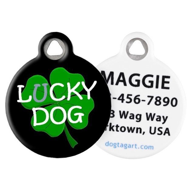 Dog Tag Art Lucky Dog Clover Personalized Dog ID Tag | Chewy.com