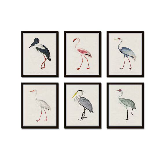 Tropical Sea Birds Set of 6 Vintage Bird Prints Giclee Art | Etsy | Etsy (US)