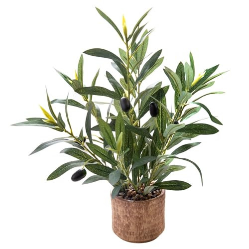 Ewtogift Indoor Fake Olive Plant 12 inch Faux Silk Leaves with Black Rustic Planter Medium Size Perfect Artificial Olive Fruits with Realistic Trunk and Lifelike Stems for Home and Office Decor | Amazon (US)