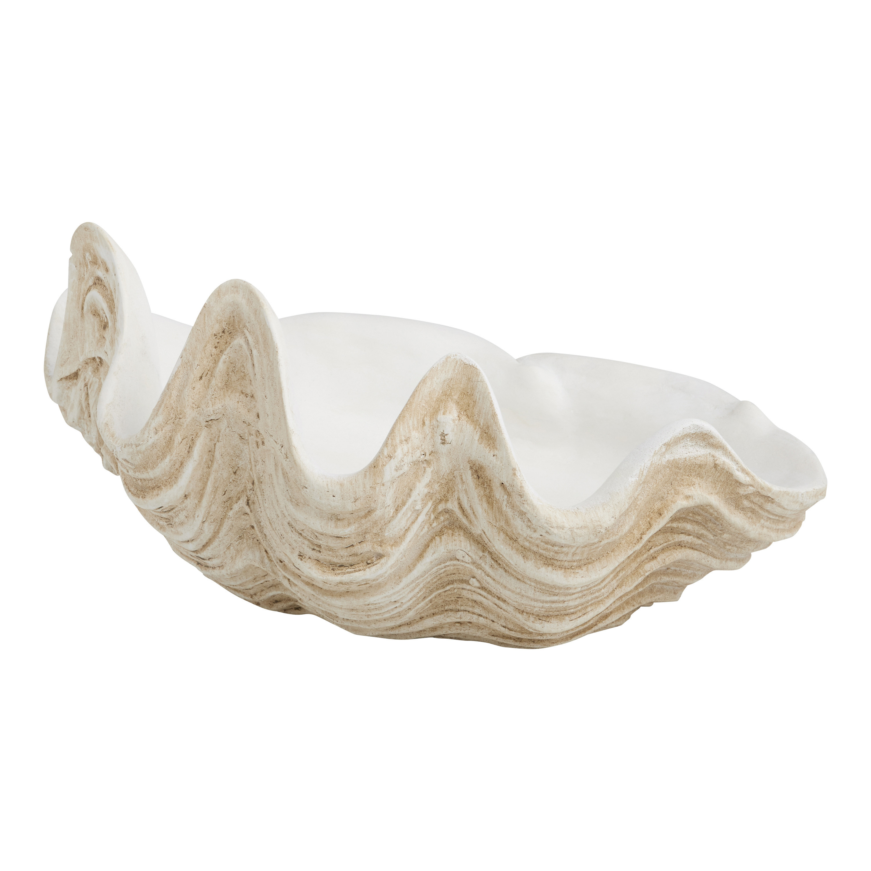 Clamshell Indoor Outdoor Bowl Decor | World Market