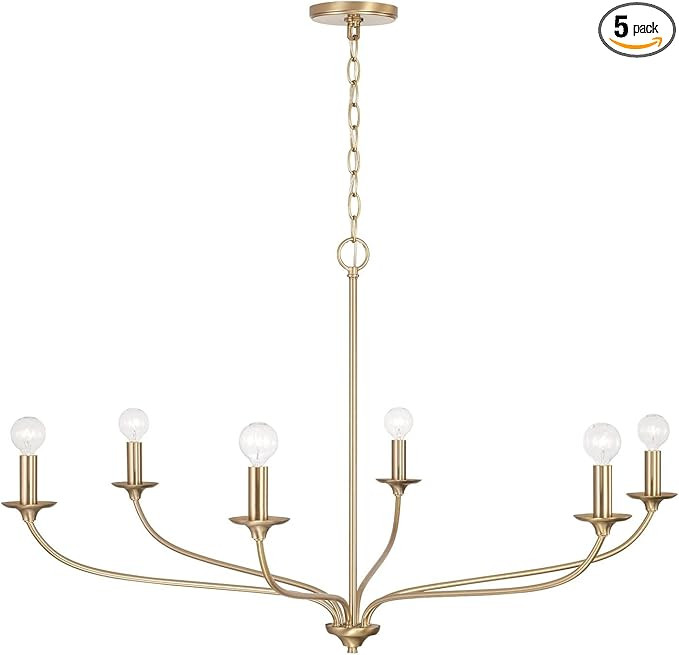 Capital Lighting 449961MA Dolan Transitional Minimalist Style Large Round Chandelier, 6-Light 360... | Amazon (US)