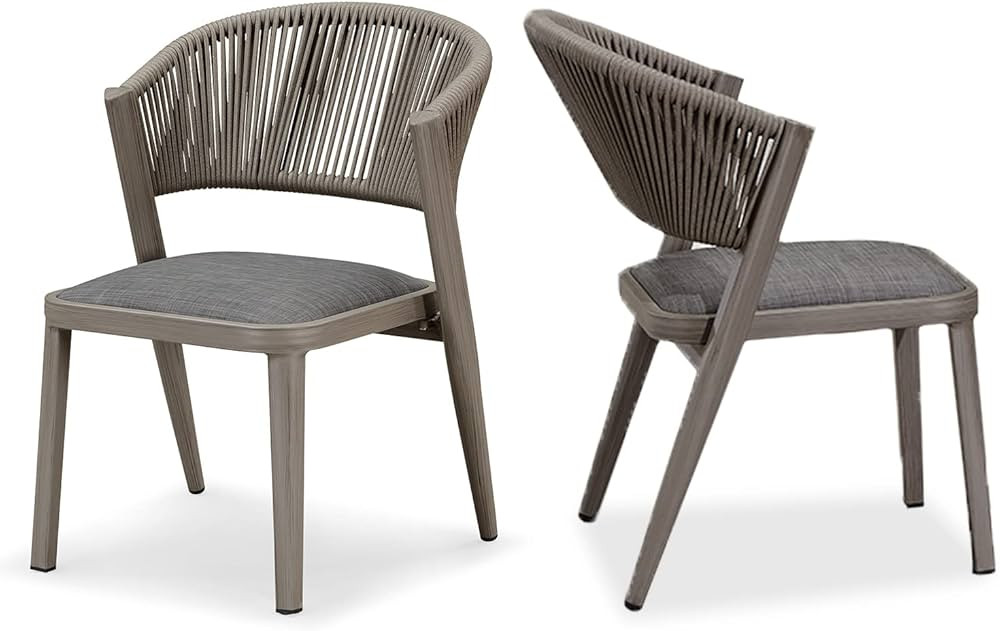 PURPLE LEAF 2 Pieces Patio Furniture Outdoor Dining Chair All-Weather Wicker All Aluminum Frame f... | Amazon (US)