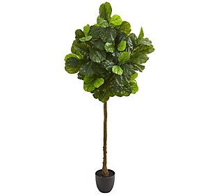 6' Fiddle Leaf Tree Real Touch by Nearly Natura l | QVC