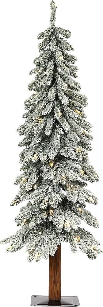 Haute Decor | Amazon (US)