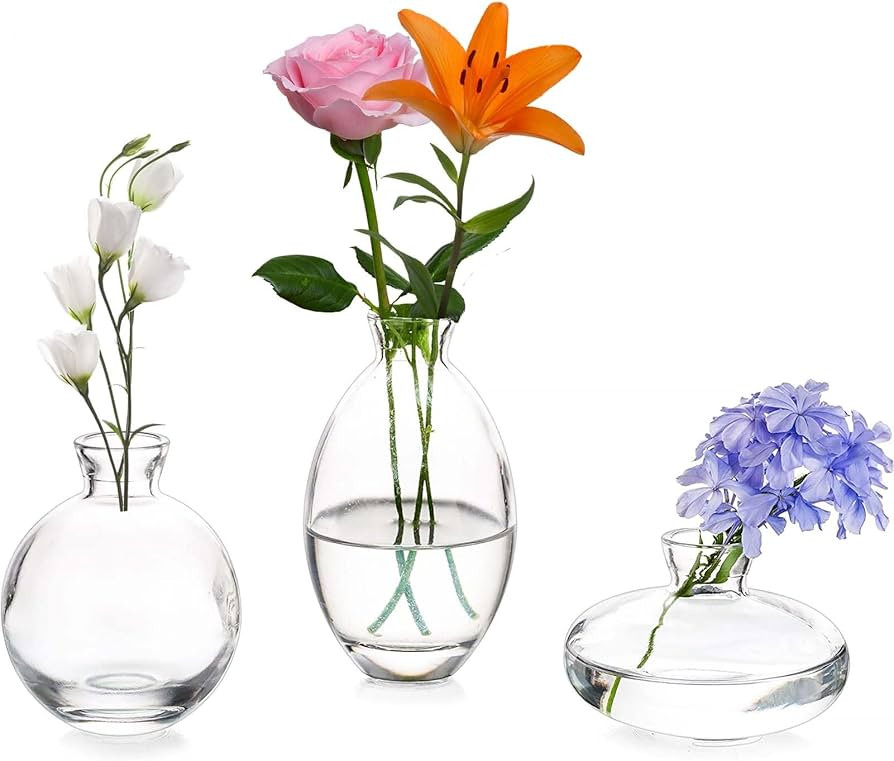 Vasen 3er-Set Kleine Blumenvasen Modern aus Kristall Transparent, Mini-Vasen Glasfl\u00e4schchen,... | Amazon (DE)