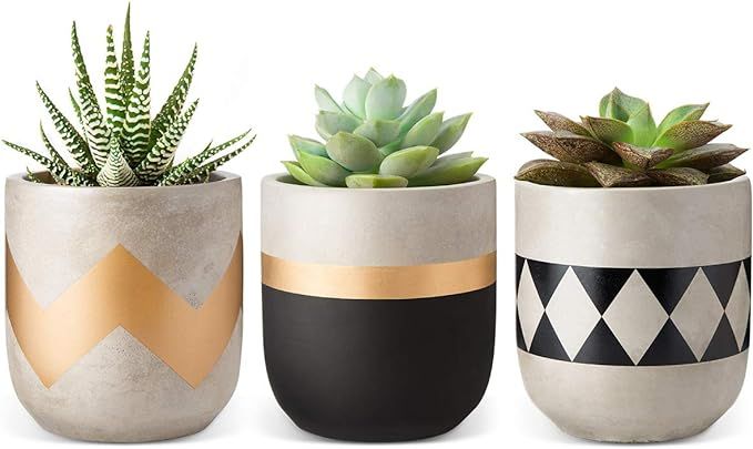 Mkono Cement Succulent Planter Set of 3 Concrete Plant Pots Modern Flower Pots Indoor for Cactus ... | Amazon (US)