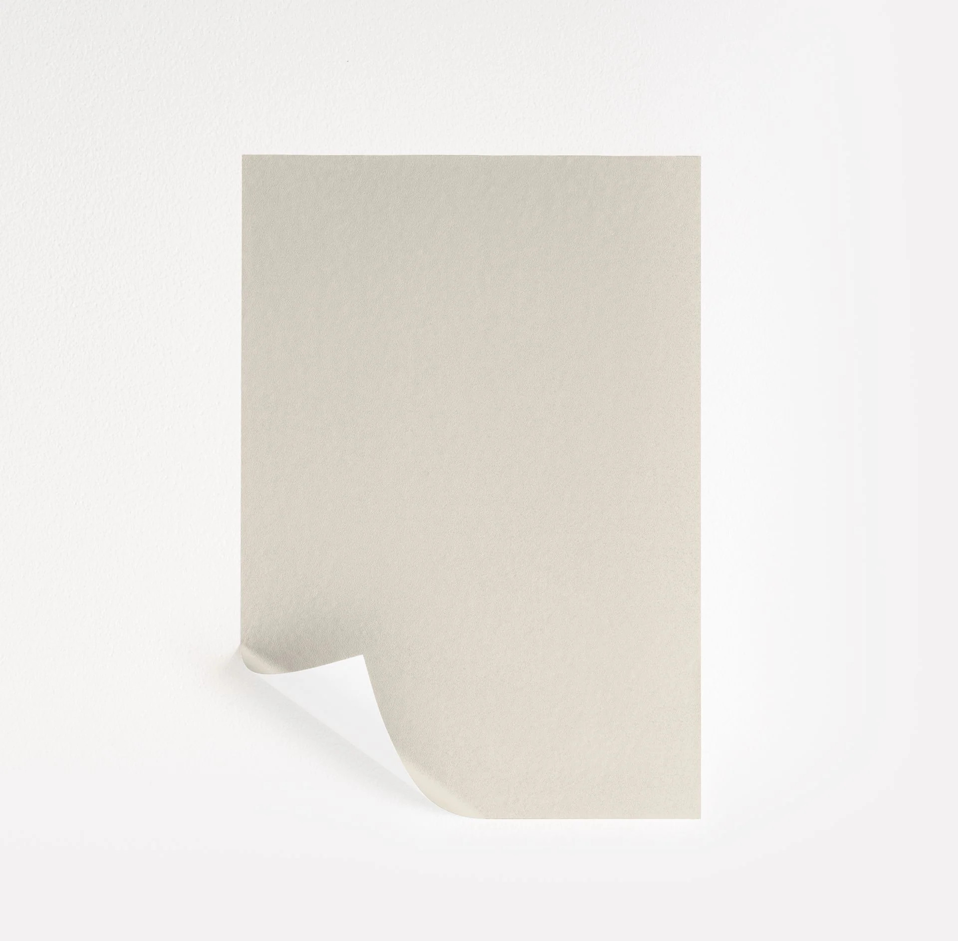 Panda White Paint Sample by Sherwin-Williams (6147) | Peel & Stick Paint Sample | Samplize