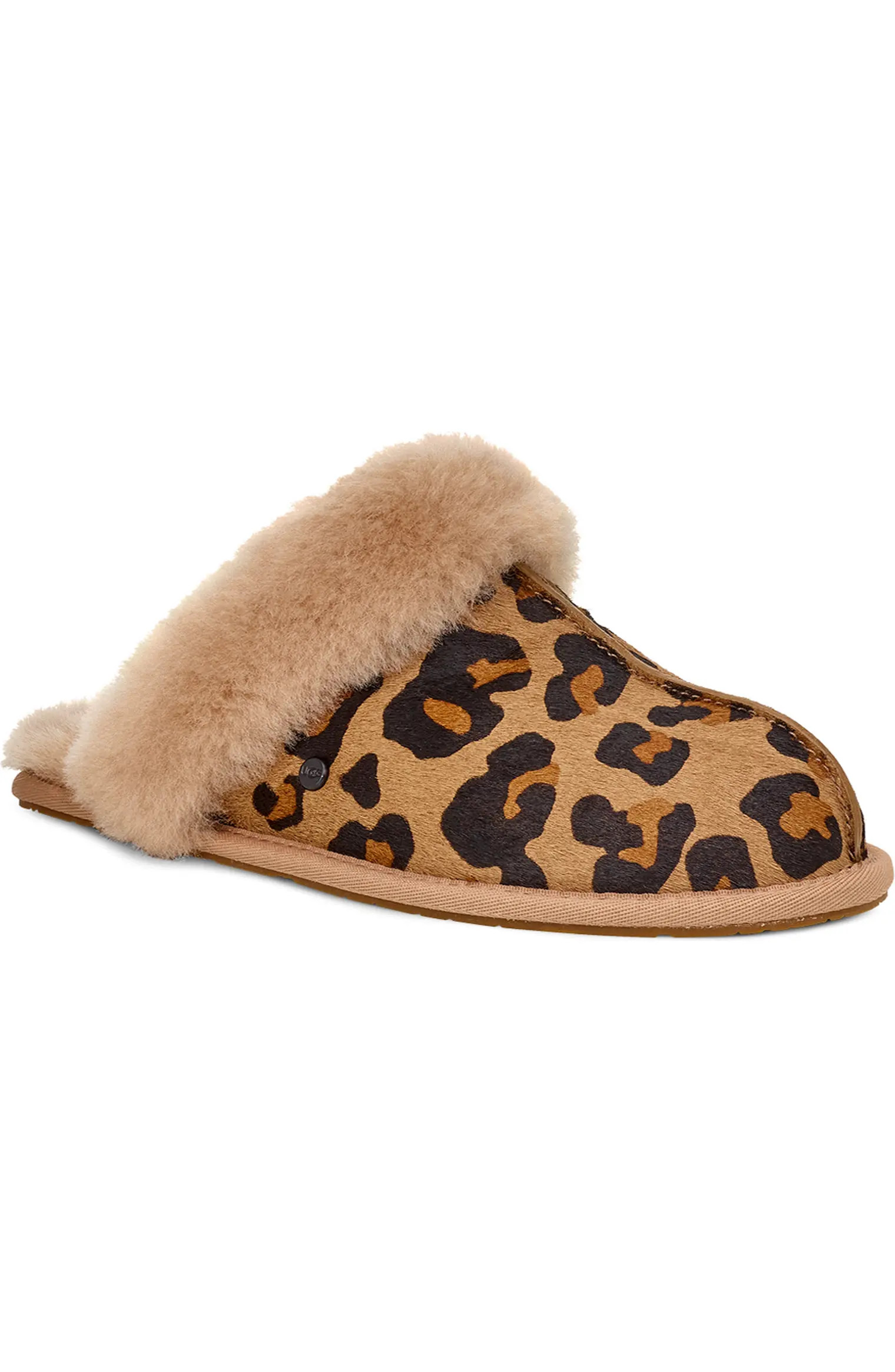 Scuffette II Genuine Calf Hair Slipper | Nordstrom