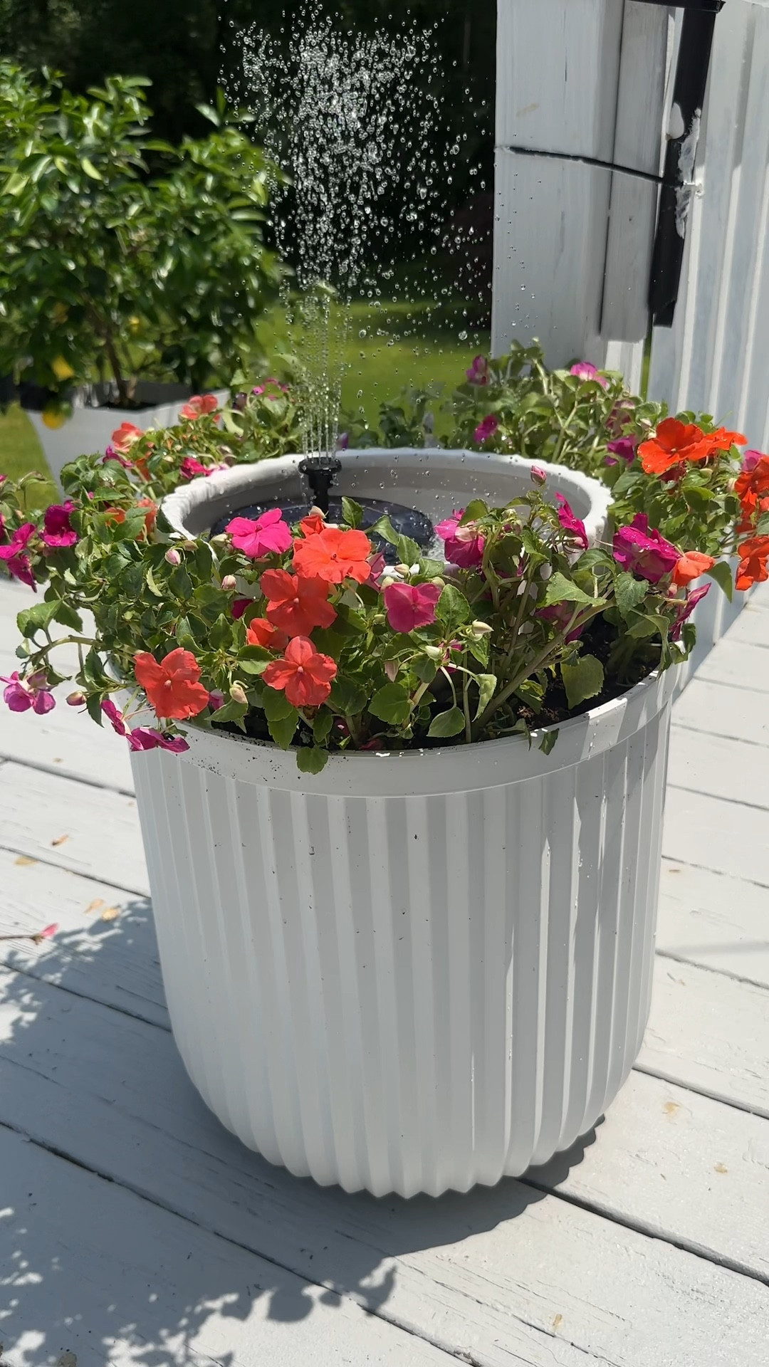 This came out better than I expected! 🌺

#diy #walmartplanter #plantets #walmartfinds #flowerfountain

#LTKHome #LTKxWalmart
