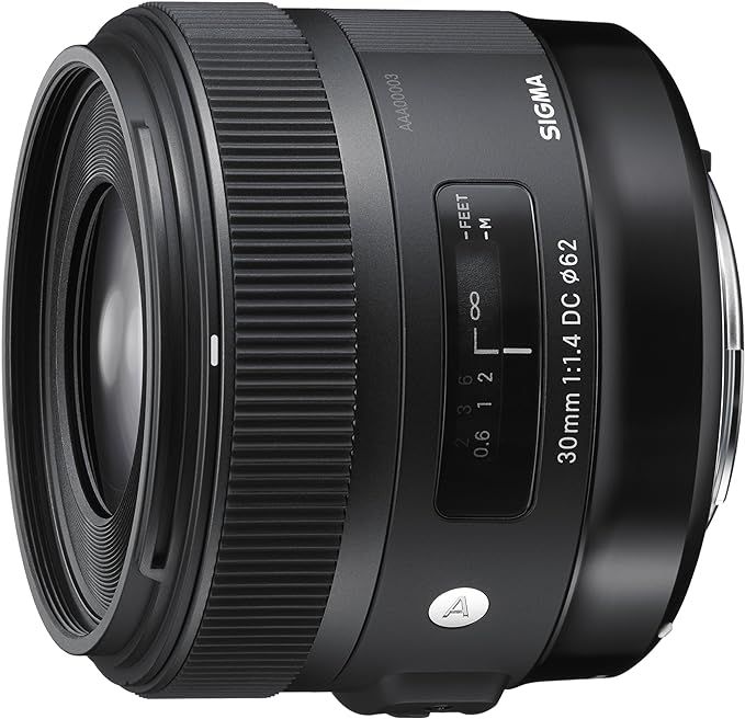 Sigma 30mm F1.4 Art DC HSM Lens for Canon | Amazon (US)