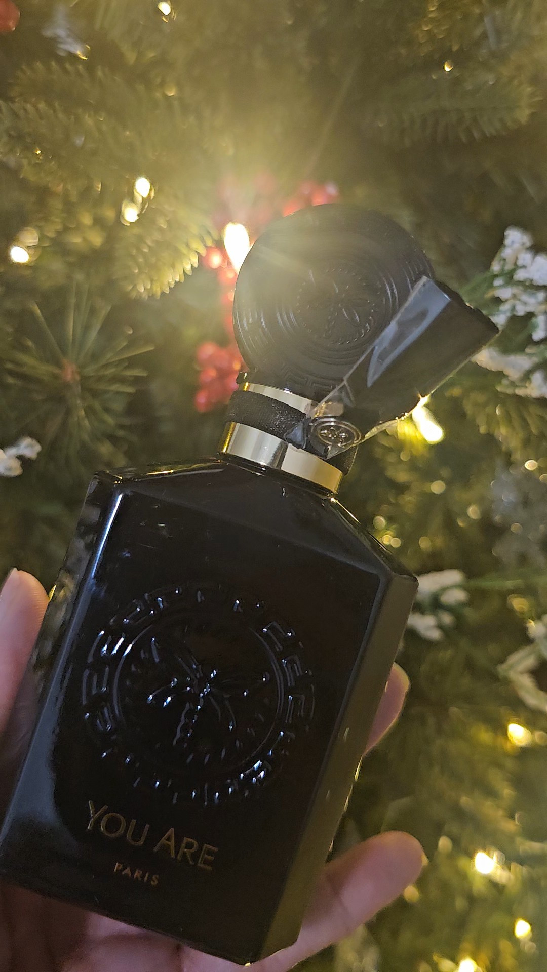 A new fragrance gift from Santa.

#LTKBeauty #LTKGiftGuide #LTKselfcare