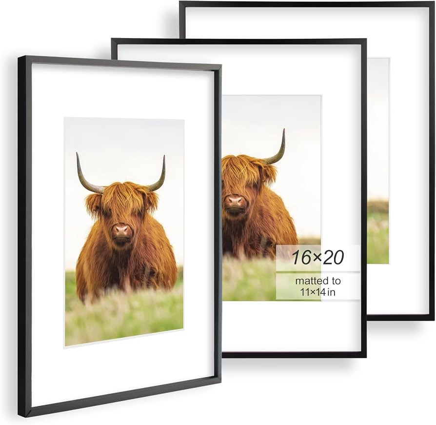 Golden State Art, 16x20 Picture Frame Set of 3, Black Thin Border, Display Photo 11x14 with Mat o... | Amazon (US)