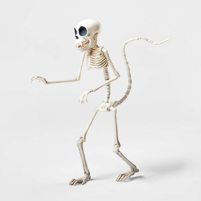 Small Monkey Skeleton Halloween Decorative Prop - Hyde & EEK! Boutique™ | Target