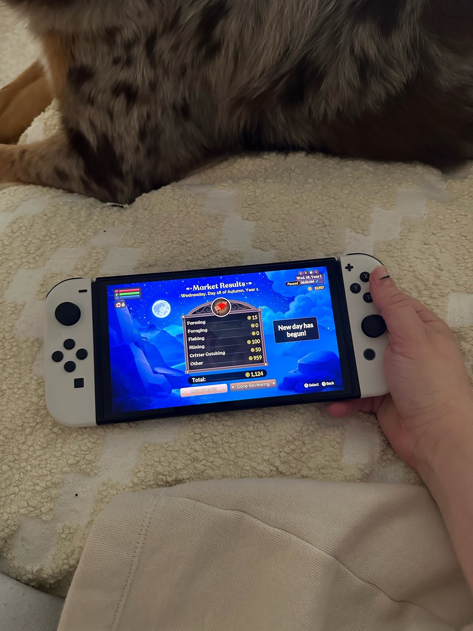 My Nintendo switch and one of my favorite games Fae Farm!