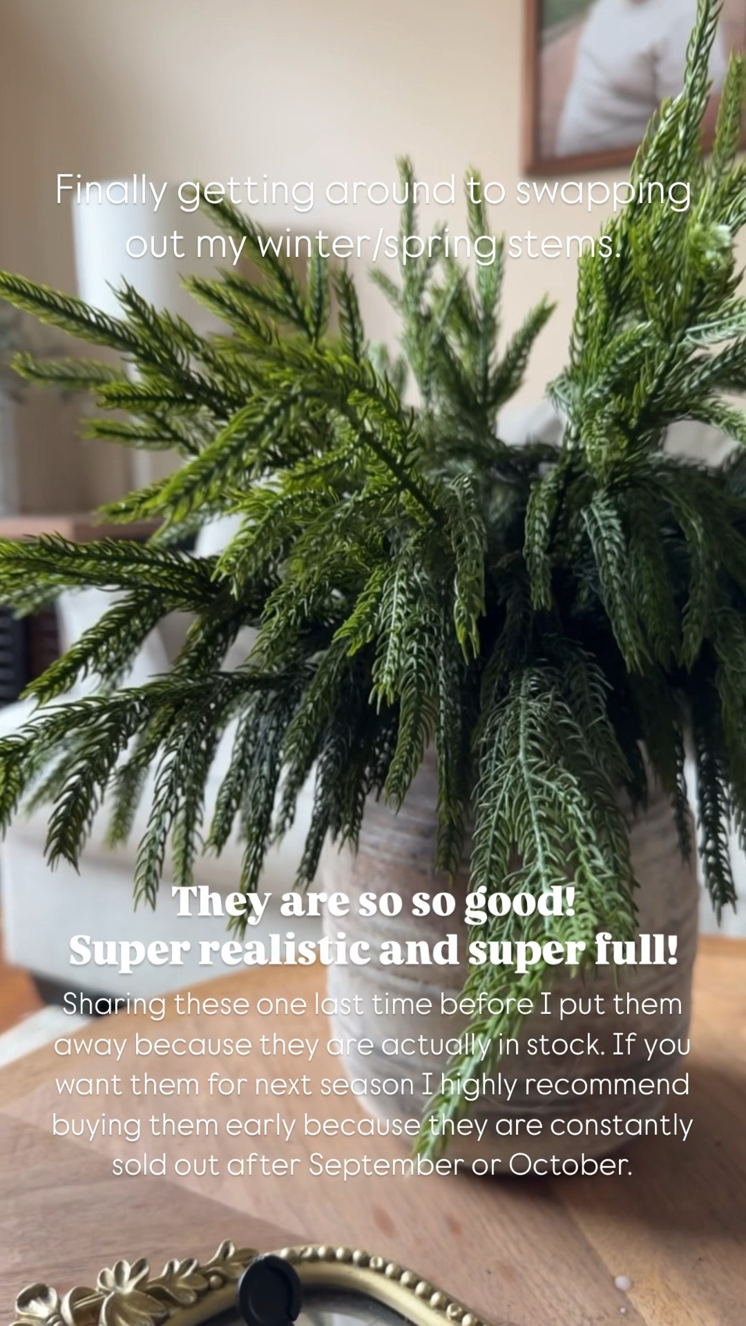 One finally share before I swap out for spring. These are constantly sold out. Snag them now! 

#LTKSaleAlert #LTKHome #LTKSeasonal