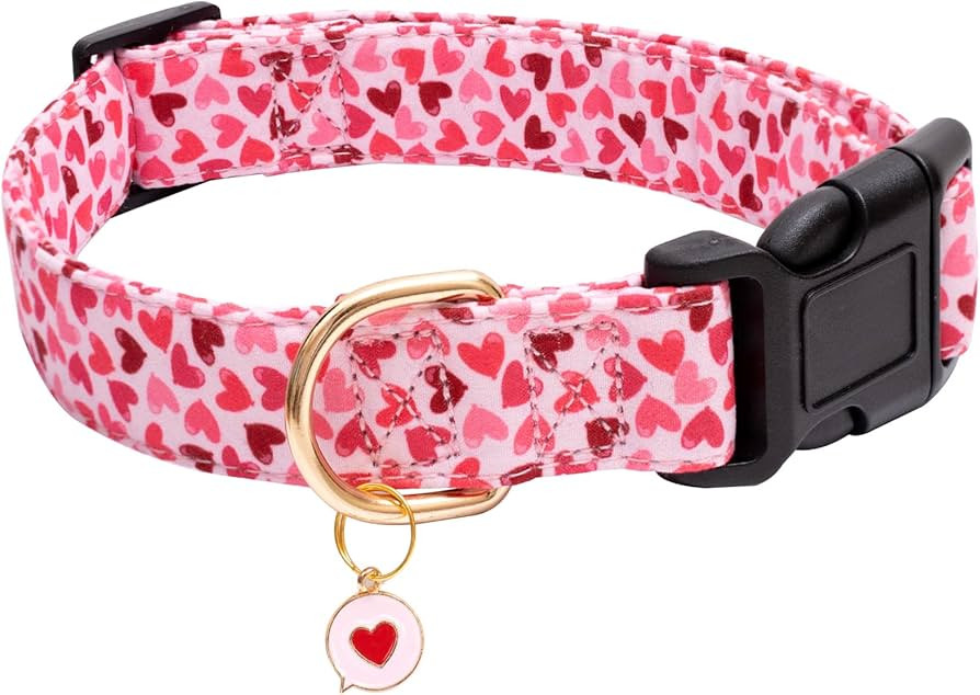 Visit the Faygarsle Store | Amazon (US)