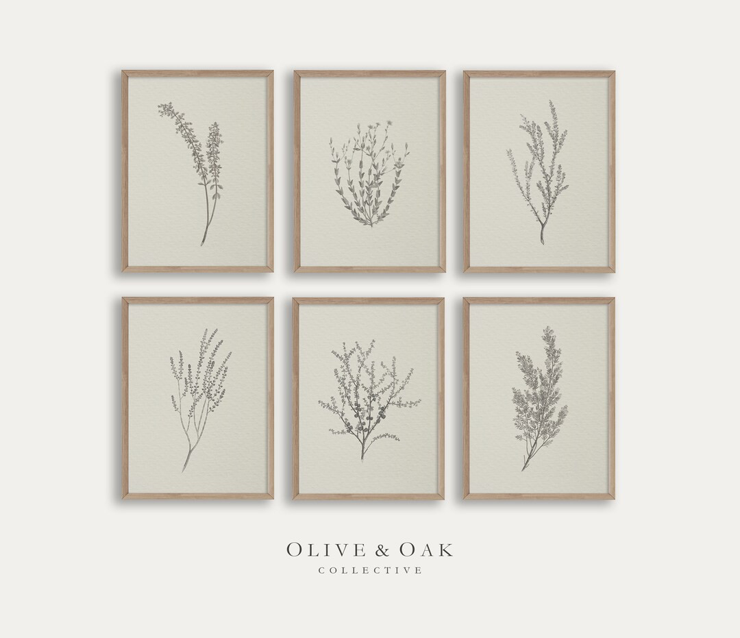 Neutral Botanical Print Set / Set of 6 Vintage Prints / - Etsy | Etsy (US)