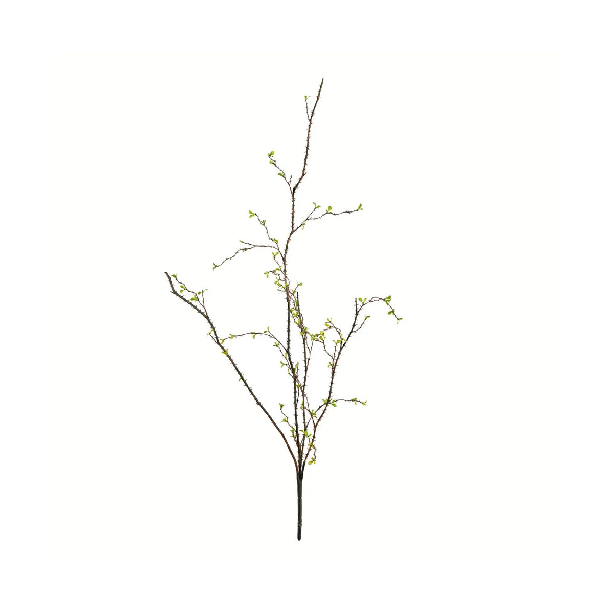33" Artificial Green Baby Leaf Branch, Pack of 2. | Wayfair North America