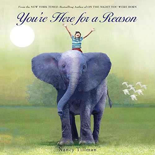 You're Here for a Reason (Nancy Tillman Collection) | Amazon (US)