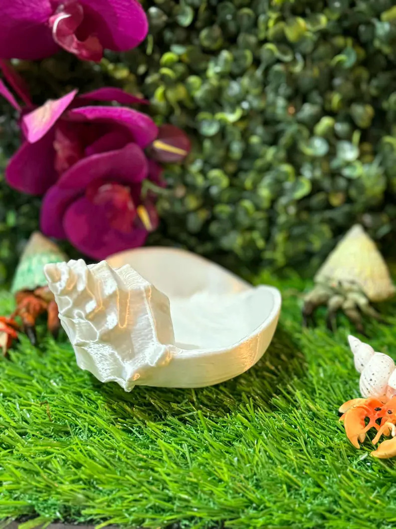 The Cozy Shell Forager/moss Pit - Etsy | Etsy (US)