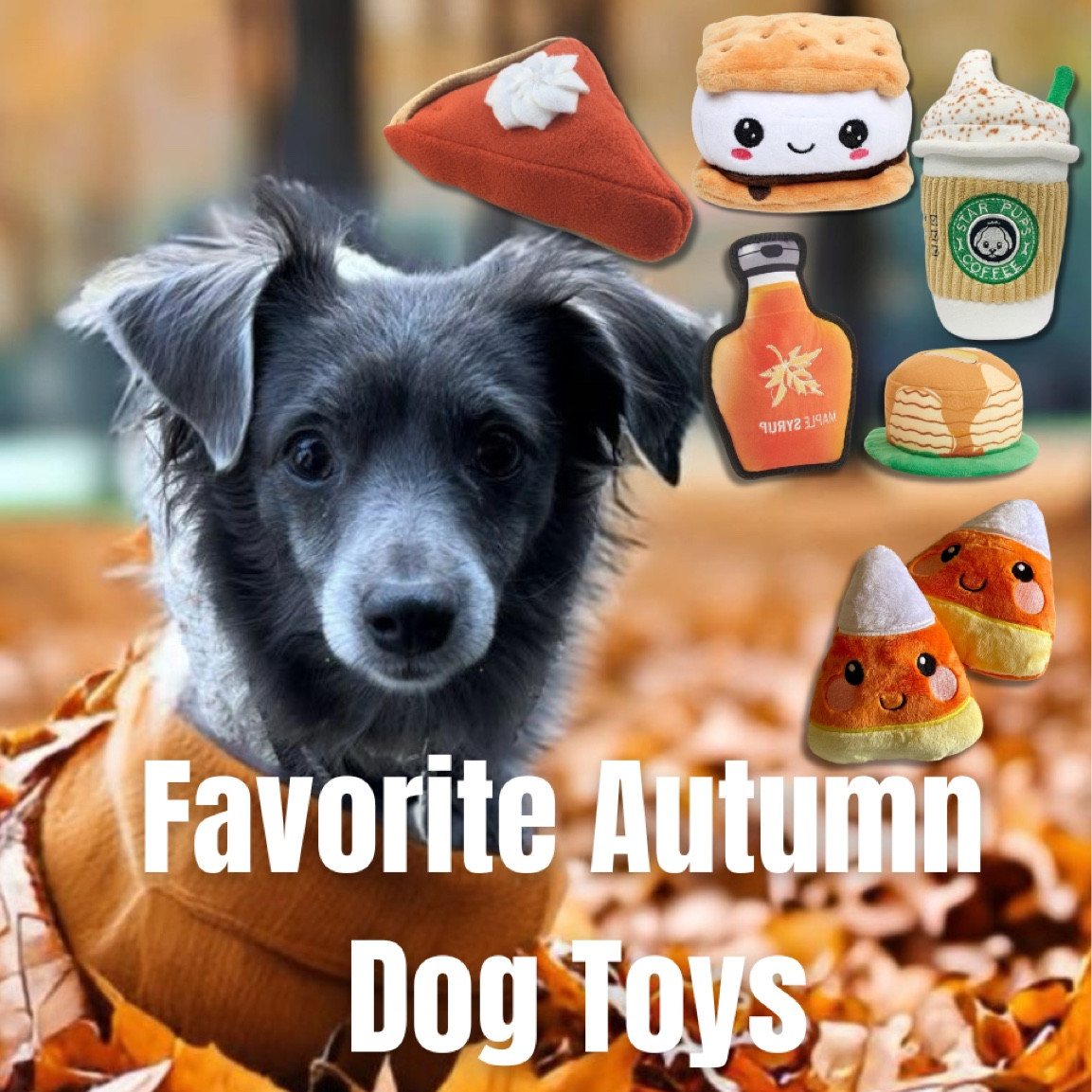 Favorite Autumn Dog Toys