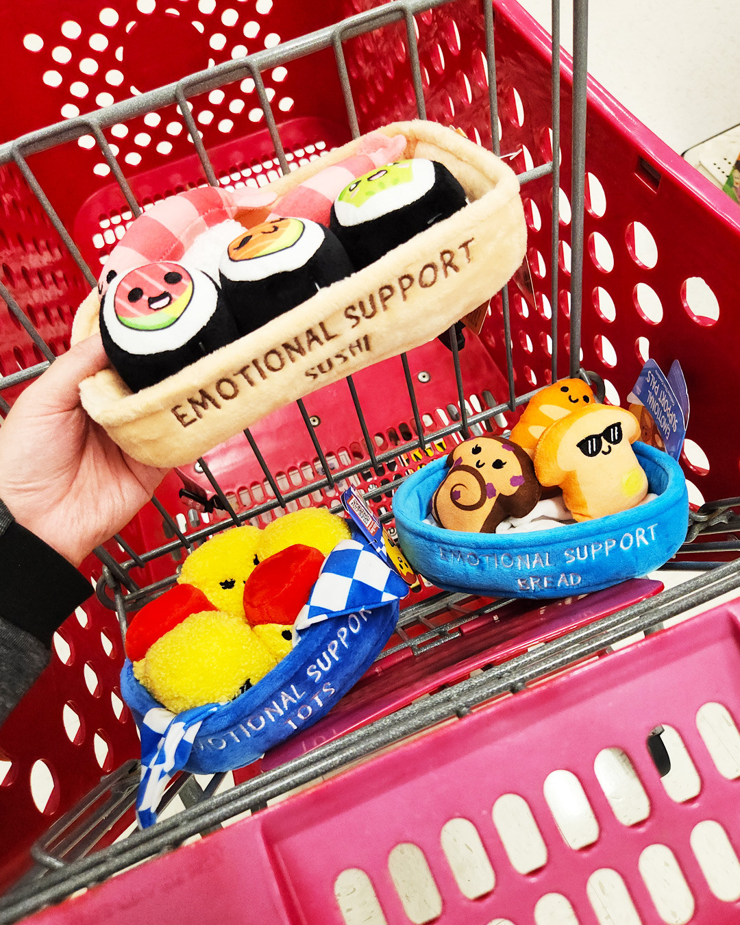 Emotional Support Plushies
#targetstyle #newattarget #targetfinds

 

 #LTKHome
