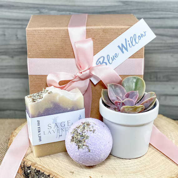 Mothers Day Gift Box Personalized Mothers Day Gift Live Succulent Gift Box Care Package Friend Gi... | Etsy (US)